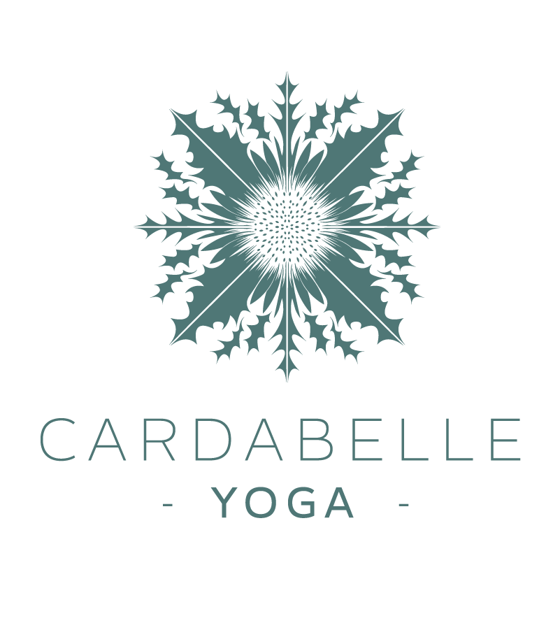 Cardabelle_logo haut